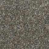 Horizon CarpetBold Option